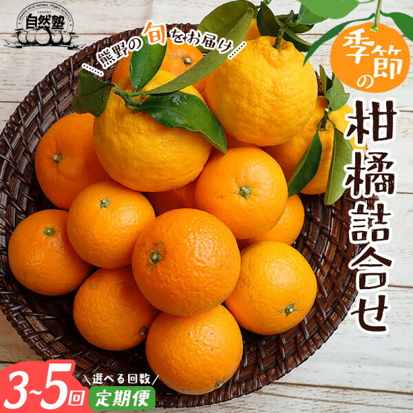三重県熊野市の【ふるさと納税】 みかん 定期便 3回 5回 季節の柑橘詰合せ みかん ミカン 温州みかん フルーツ 果物 くだもの 柑橘 不知火 せとか 果物定期便 フルーツ定期便 果物セット フルーツセット 甘い 濃厚 産地直送 数量限定 人気 国産 三重県 熊野市 送料無料|詳細画像