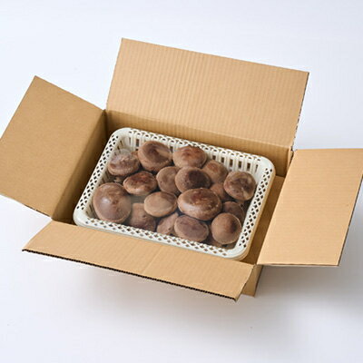 三重県いなべ市の画像2