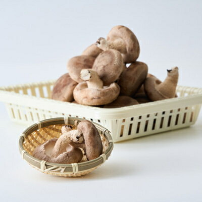 三重県いなべ市の画像3