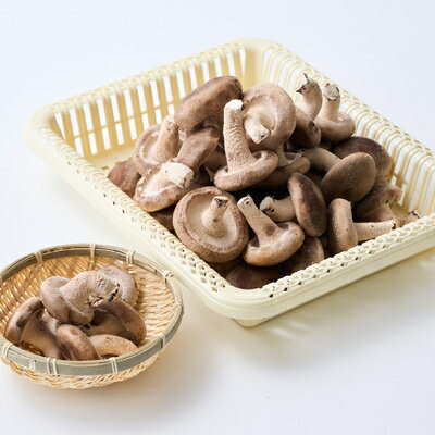 三重県いなべ市の画像3