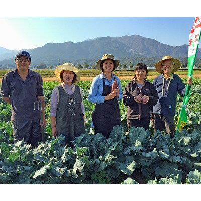 【ふるさと納税】陽光ビオファームの「体が喜ぶ」旬の7種の野菜セット(夏季)【配送不可地域：離島・北海道・沖縄県】【1201502】