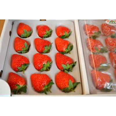 三重県いなべ市の画像2