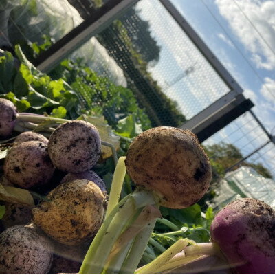 三重県いなべ市の画像2