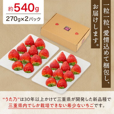 三重県いなべ市の画像2