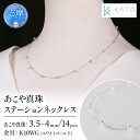 【ふるさと納税】 真珠 アクセサリー ネックレス パール 3.5mm 以上 4mm 未満 アコヤ真珠 ジュエリー カジュアル 普段遣い おしゃれ ホワイトゴールド / あこや真珠ステーションネックレス K10WG