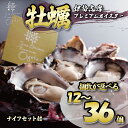 【ふるさと納税】 今が旬 選べる個数 牡蠣 殻付き 12個~36個入 的矢かき 生食用 カキ かき 的矢牡蠣 的矢 牡蠣 養殖 的矢湾 生食 ブランド 伊勢志摩...