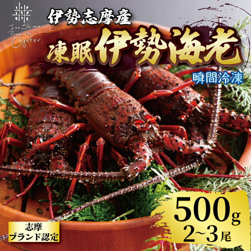 【ふるさと納税】 伊勢海老 500g～1kg 選べる 冷凍 伊勢 志摩 三重 伊勢えび 伊勢エビ 新鮮 えび エビ 高級食材 贈答 お歳暮 お正月 年末年始 お造り 海鮮 魚介類 鮮魚 ギフト いせ しま BBQ 焼き物 お味噌汁 鍋 ボイル 30000円 60000円
