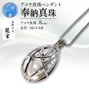 【ふるさと納税】 真珠 アクセサリー 8mm シルバー パール ペンダント ネックレス チェーン 60cm 普段使い カジュアル おしゃれ レディース アコヤ貝 伊勢志摩 伊勢 志摩 / 奉納真珠