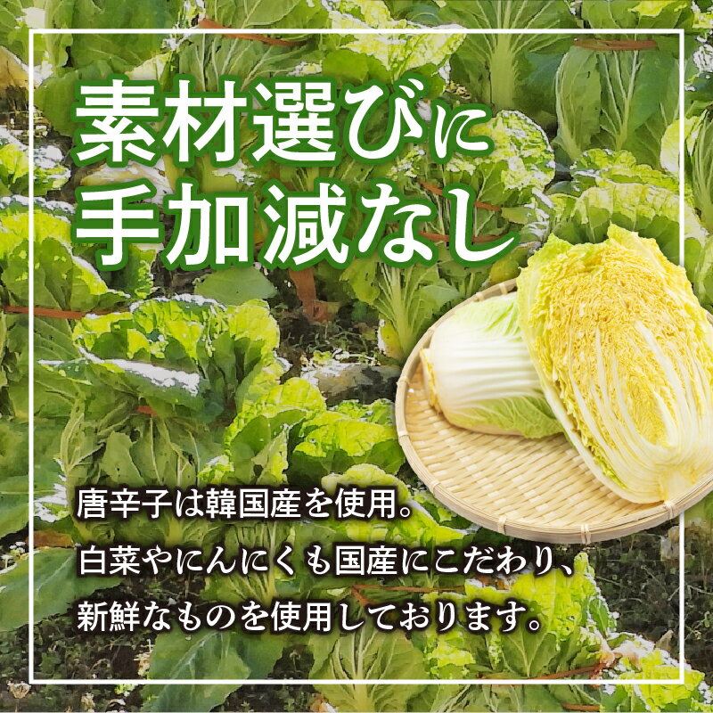 クレスポ グリーンオリーブ スライス 460g