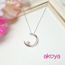 12位! 口コミ数「0件」評価「0」 akoya 月の舟 ペンダント