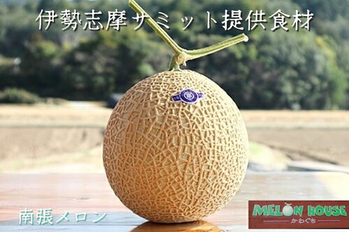  南張メロン 1個 川口農園 / ふるさと納税 フルーツ 果物 果実 新鮮 お取り寄せ melon 伊勢志摩 産直 三重県 志摩市 浜島町