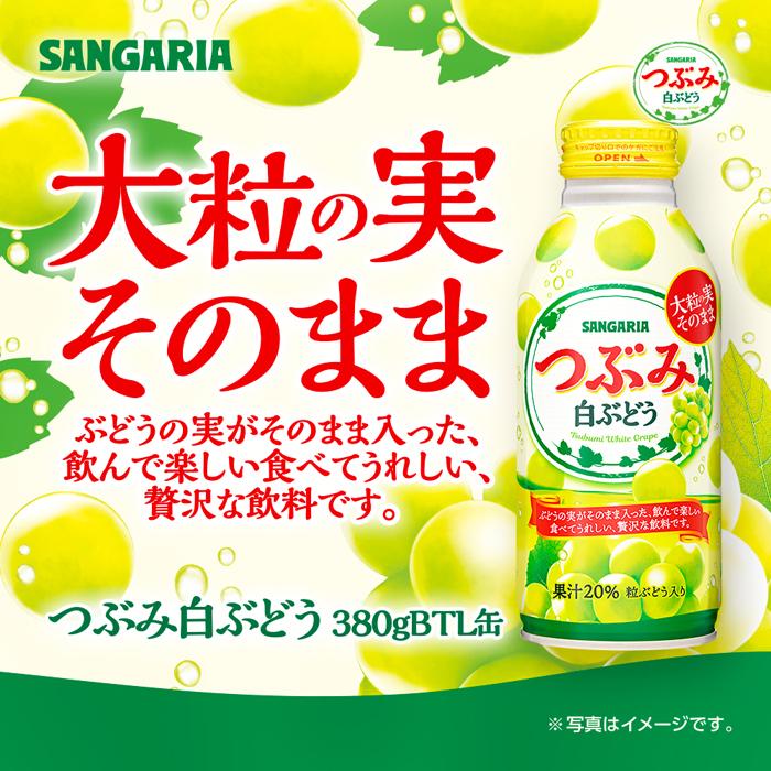 2位! 口コミ数「0件」評価「0」サンガリア つぶみ白ぶどう 380g×24本 | 飲料 ぶどう果汁 食感系飲料 ソフトドリンク フルーツ ジュース 送料無料 楽天ふるさと ･･･ 