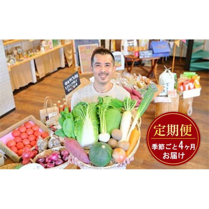 忍びの国の野菜セット（12品以上）季節毎に4回お届け | 野菜 季節の野菜 旬の野菜 定期便 冷蔵便 セット 詰め合わせ 送料無料 楽天ふるさと 納税 返礼品 お取り寄せグルメ 取り寄せ お取り寄せ 三重県 伊賀市 三重 伊賀