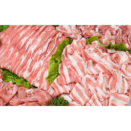 【ふるさと納税】伊賀産豚 モモorウデ スライス 約1kg | 肉 豚肉 焼肉 ステーキ 食品 送料無料 楽天ふるさと 納税 返礼品 お取り寄せグルメ 取り寄せ お取り寄せ 三重県 伊賀市 三重 伊賀