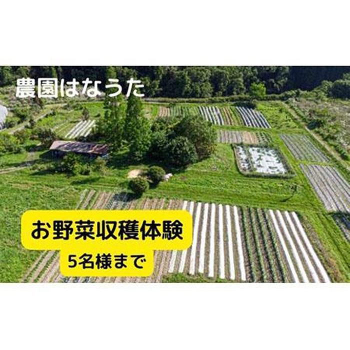 【ふるさと納税】農園はなうた お野菜収穫体験券 5名様まで | 野菜 収穫体験 持ち帰り 楽天ふるさと 納税 返礼品 三重県 伊賀市 三重 伊賀