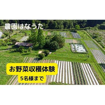 農園はなうた お野菜収穫体験券 5名様まで | 野菜 収穫体験 持ち帰り 楽天ふるさと 納税 返礼品 三重県 伊賀市 三重 伊賀