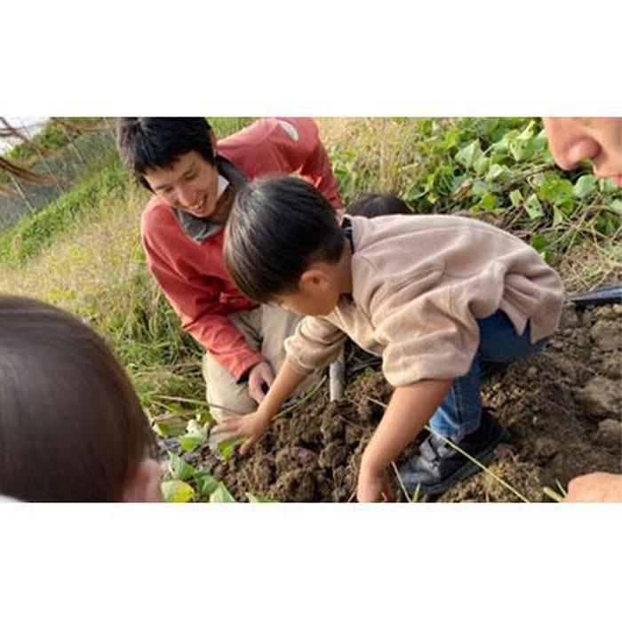 【ふるさと納税】農園はなうた お野菜収穫体験券 5名様まで | 野菜 収穫体験 持ち帰り 楽天ふるさと 納税 返礼品 三重県 伊賀市 三重 伊賀