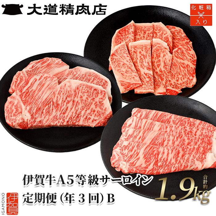 【化粧箱入り 伊賀牛】A5サーロイン 3回定期便コースB | 肉 伊賀牛 牛肉 サーロイン ステーキ 食品 定期便 贈答 ギフト プレゼント 送料無料 楽天ふるさと 納税 返礼品 お取り寄せグルメ 取り寄せ お取り寄せ 三重県 伊賀市 三重 伊賀