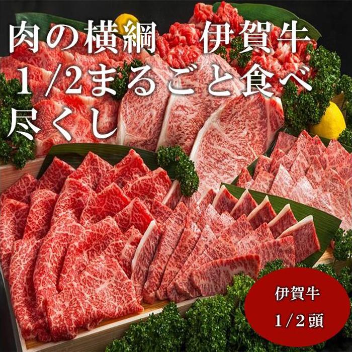 【ふるさと納税】肉の横綱　伊賀牛1/2まるごと食べ尽くし