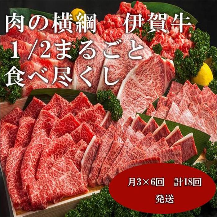 肉の横綱　伊賀牛1/2まるごと食べ尽くし