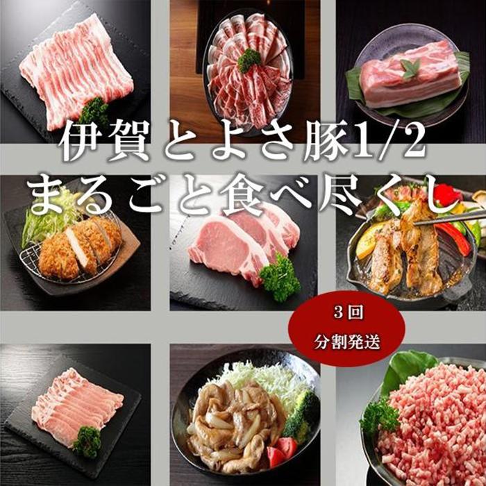 【ふるさと納税】【3回分割発送】伊賀とよさ豚1/2まるごと食べ尽くし