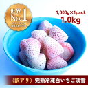 24位! 口コミ数「0件」評価「0」【訳アリ】完熟冷凍苺【白いちご淡雪1.0kg】化粧箱入【果実まるごとアイス】 | 食品 加工食品 人気 おすすめ 送料無料