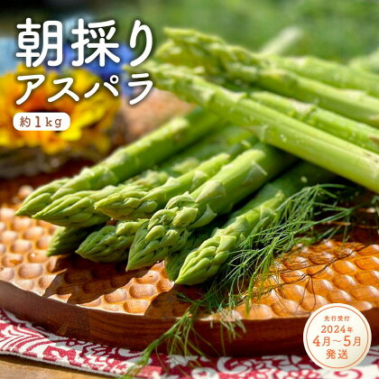 朝採りアスパラガス（約1kg）4月上旬～5月中旬お届け | 野菜 アスパラガス グリーンアスパラ 旬 朝採り とれたて 産地直送 送料無料 楽天ふるさと 納税 返礼品 お取り寄せグルメ 取り寄せ お取り寄せ 三重県 伊賀市 三重 伊賀