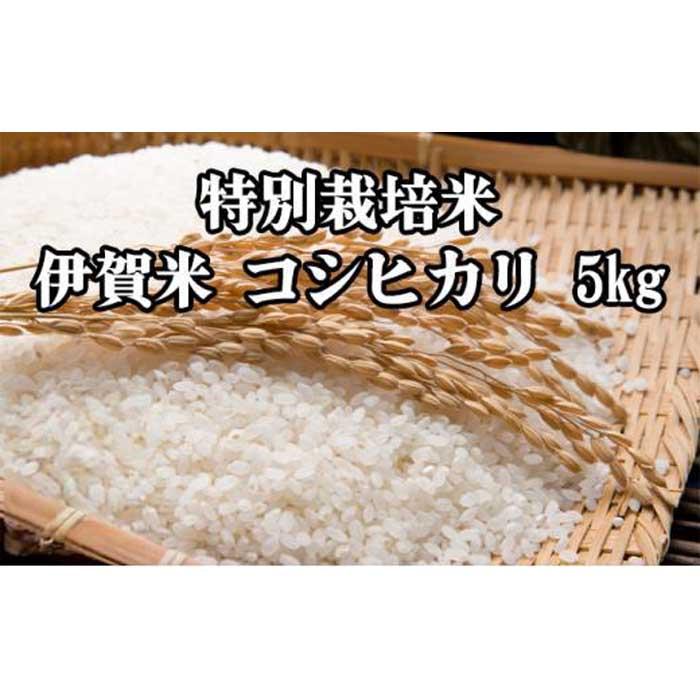 特別栽培米・伊賀米コシヒカリ 5kg | 米 お米 白米 特別栽培米 モチモチ 冷めてもおいしい おむすび お弁当 産地直送 送料無料 楽天ふるさと 納税 返礼品 お取り寄せグルメ 取り寄せ お取り寄せ 三重県 伊賀市 三重 伊賀