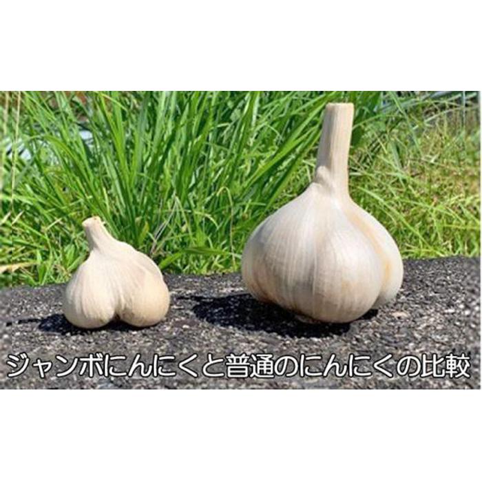 【ふるさと納税】【定期便】ジャンボ黒にんにく150g×3（3か月に1回） | 野菜 やさい 食品 人気 おすすめ 送料無料