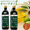 【ふるさと納税】エキストラバージンオリーブオイル2本セット | オリーブ 油 オリーブの実 食用油 エキストラヴァージン エクストラバージン オリーブ オイル ...