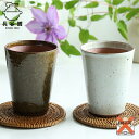 【ふるさと納税】長谷園 伊賀焼 ビアマグギフトセット グリーン&ホワイト 小 | 食器 テーブルウェア 日用品 人気 おすすめ 送料無料