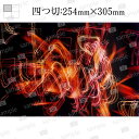 【ふるさと納税】石原 健哉撮影写真 四つ切「華の舞」伊賀 2019年(額付き)