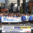 【ふるさと納税】2025伊賀上野シティマラソン ジョギング一般の部エントリー権
