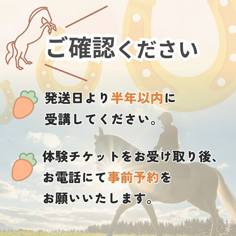 【ふるさと納税】体験乗馬3日間3回コース(ドリンク付) 2
