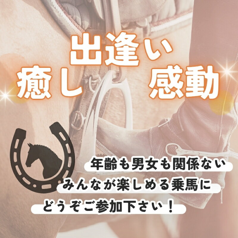 【ふるさと納税】体験乗馬3日間3回コース(ドリンク付) 3