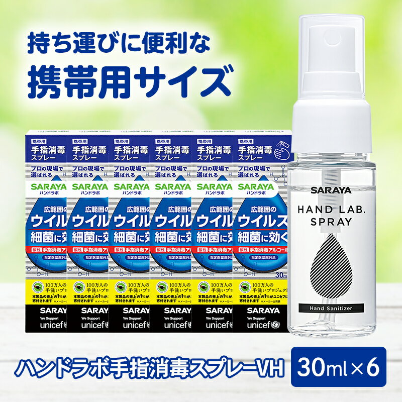【ふるさと納税】ハンドラボ手指消毒スプレーVH30ml×6