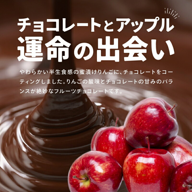 【ふるさと納税】 アップルチョコレートミルク900g