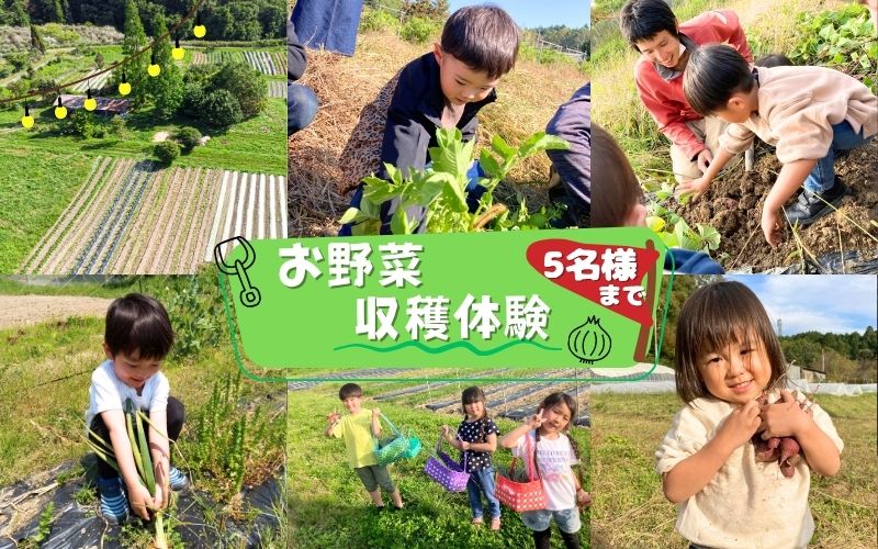 【ふるさと納税】農園はなうた お野菜収穫体験券 5名様まで
