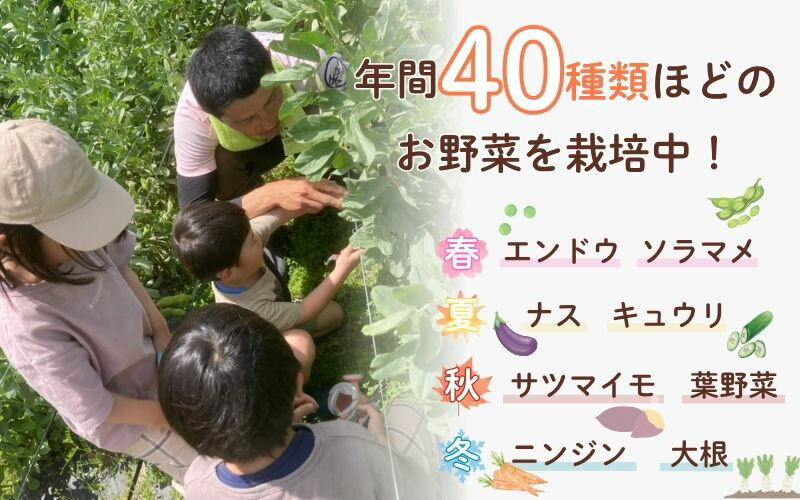 【ふるさと納税】農園はなうた お野菜収穫体験券 5名様まで
