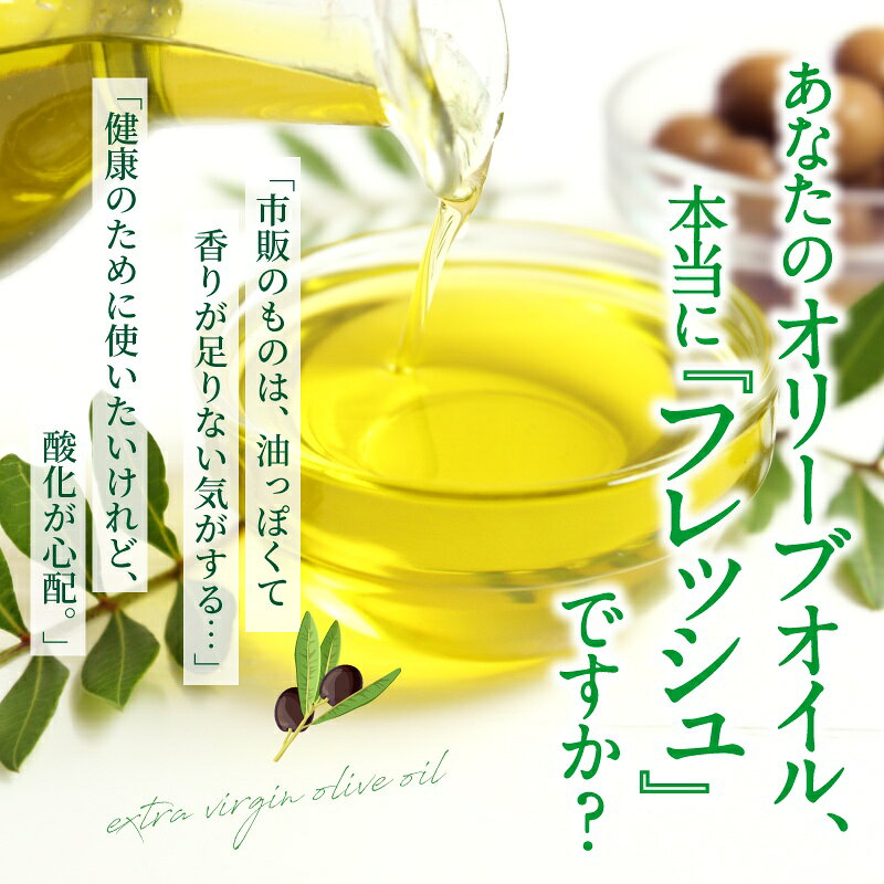 【ふるさと納税】【フレッシュな香り】オリーブオイル エキストラバージン2本セット（500ml×2本計1L）/調理油だけでなく、ドレッシングとしても最適！ パスタ パン 2本入り セット 調味料 油 オリーブオイル オリーブ油食用油 揚げ物 炒め物 調理油ドレッシング三重県伊賀市