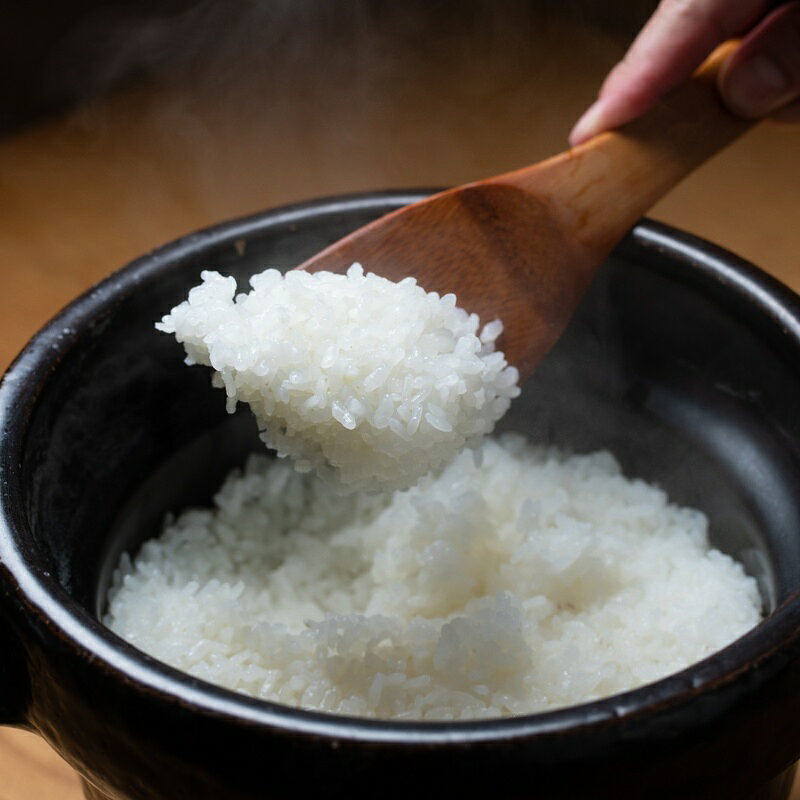 【ふるさと納税】【令和7年産】特別栽培米 伊賀米コシヒカリ真空パック セット 6合（900g）×3 f242161-iga-10001255 三重県伊賀市 サンプル画像2
