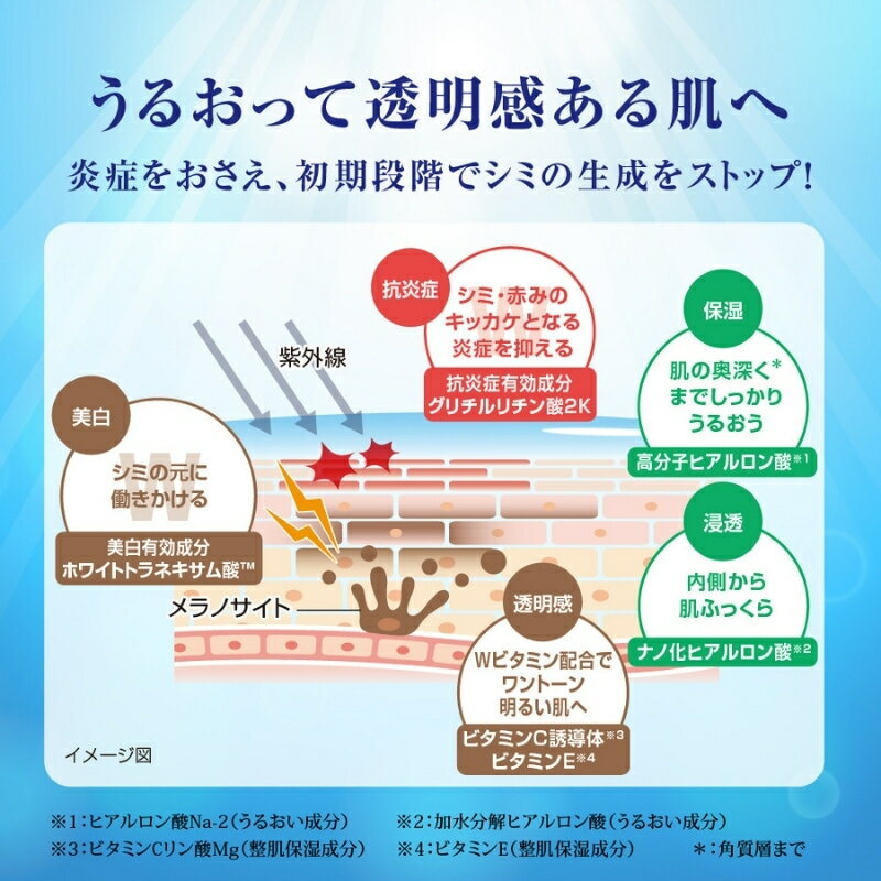 【ふるさと納税】 ロート製薬 【 肌ラボ 白潤プレミアム しっとり タイプ 】化粧水＋乳液4点セット（各ボトル＋つめかえ用） / 化粧水 乳液 美容 化粧 お肌 【roht0002】