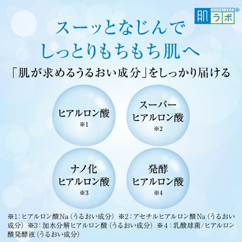 【ふるさと納税】 ロート製薬 【 肌ラボ 極潤 】化粧水つめかえ4点セット / 化粧水...