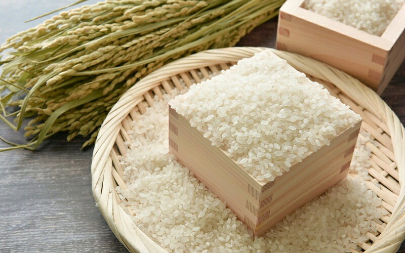 【ふるさと納税】伊賀米 結びの神 特別栽培米 5kg 令和7年産 白米 10kg分お得！ギフトにも最適！送料無料 産地直送 新米予約 年内発送対応 のし対応可 贈答用 高級米 厳選米 大容量でお得なセット｜年明け発送｜化粧箱入り｜訳あり｜国産｜冷凍｜冷蔵｜小分け｜【tuli0002】