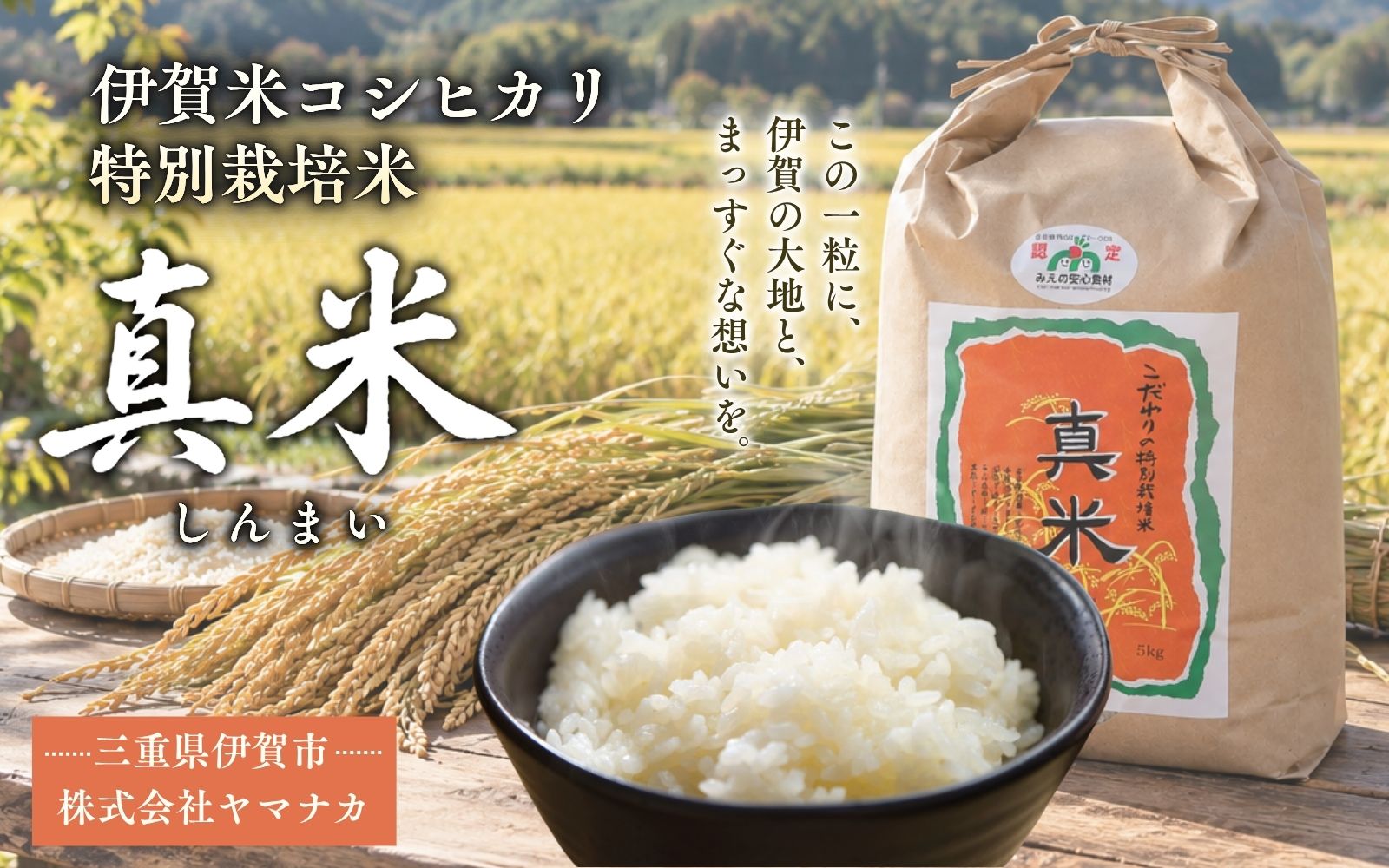 【ふるさと納税】米 伊賀米 令和8年産新米 《伊賀米コシヒカリ 特別栽培米「真米」白米10kg×3回お届け定期便》/ 「みえの安心食材認定米！ 大粒！モチモチ！つやつや！」米 こめ 令和8年産 コシヒカリ精米 モチモチ 食感 つやつや 10kg 送料無料 三重県伊賀市 f242161-iga-10002016 三重県伊賀市 サンプル画像2