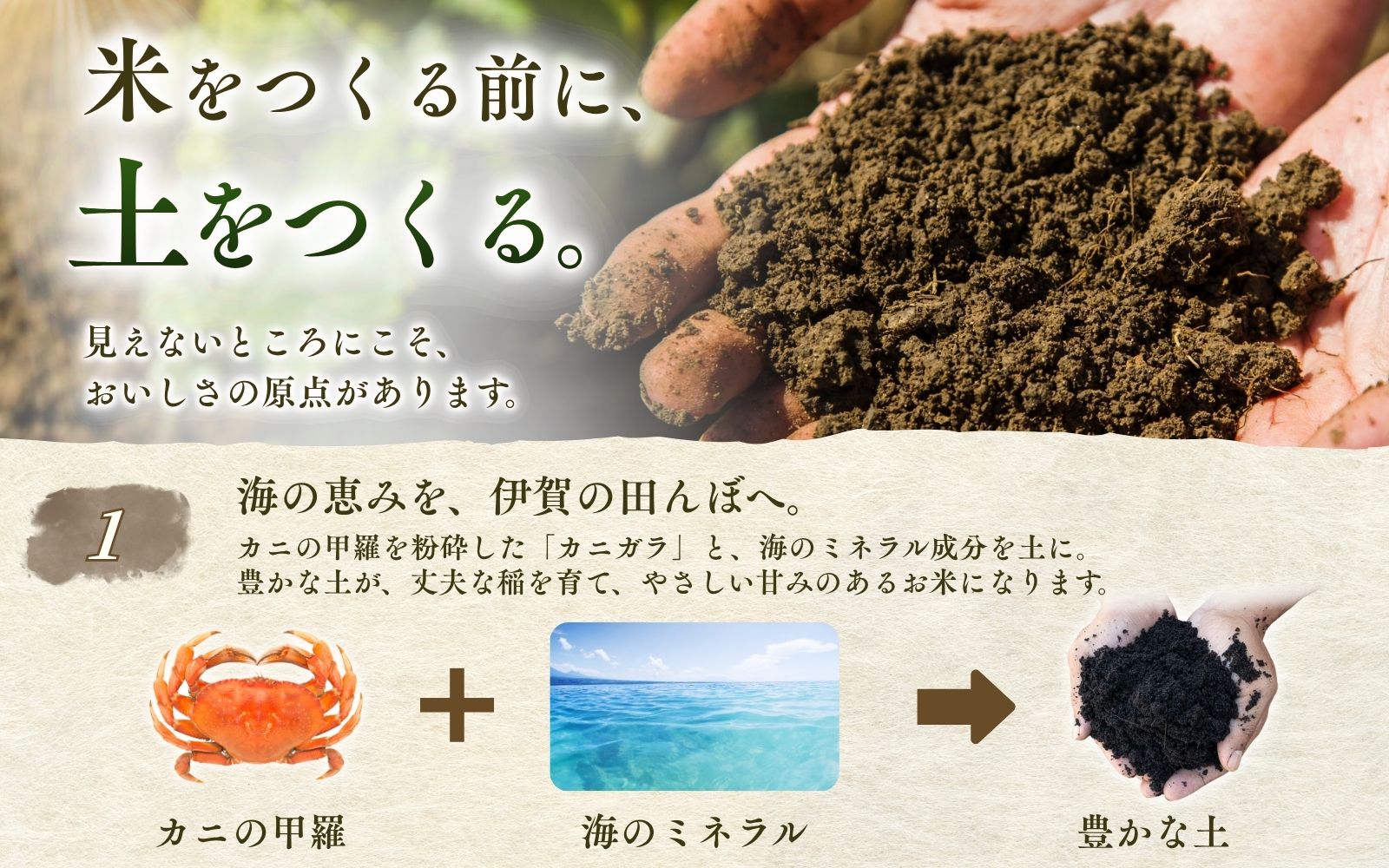 【ふるさと納税】米 伊賀米 令和8年産新米 《伊賀米コシヒカリ 特別栽培米「真米」白米10kg×3回お届け定期便》/ 「みえの安心食材認定米！ 大粒！モチモチ！つやつや！」米 こめ 令和8年産 コシヒカリ精米 モチモチ 食感 つやつや 10kg 送料無料 三重県伊賀市 f242161-iga-10002016 三重県伊賀市 サンプル画像3