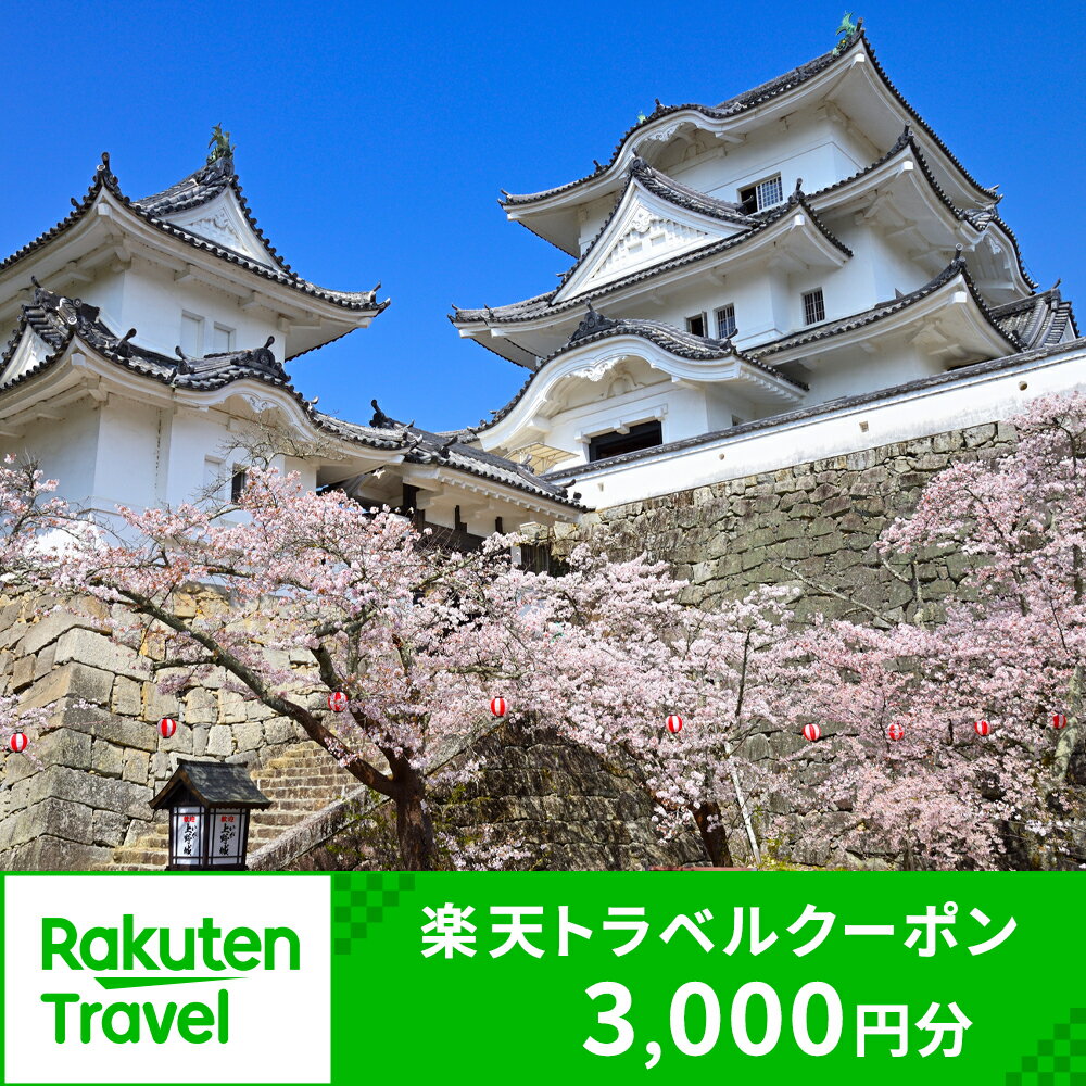 【ふるさと納税】三重県伊賀市の対象施設で使える楽天トラベルクーポン 寄付額10,000円