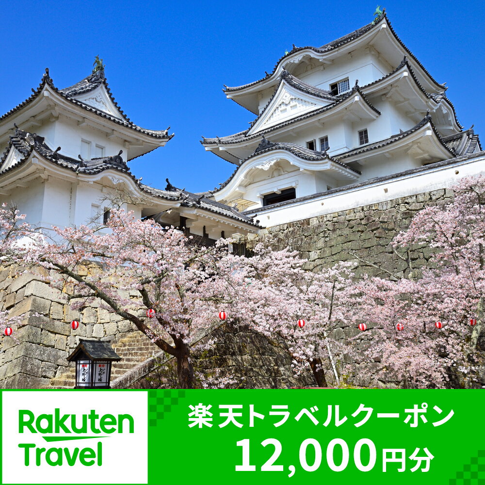 【ふるさと納税】三重県伊賀市の対象施設で使える楽天トラベルクーポン 寄付額40,000円