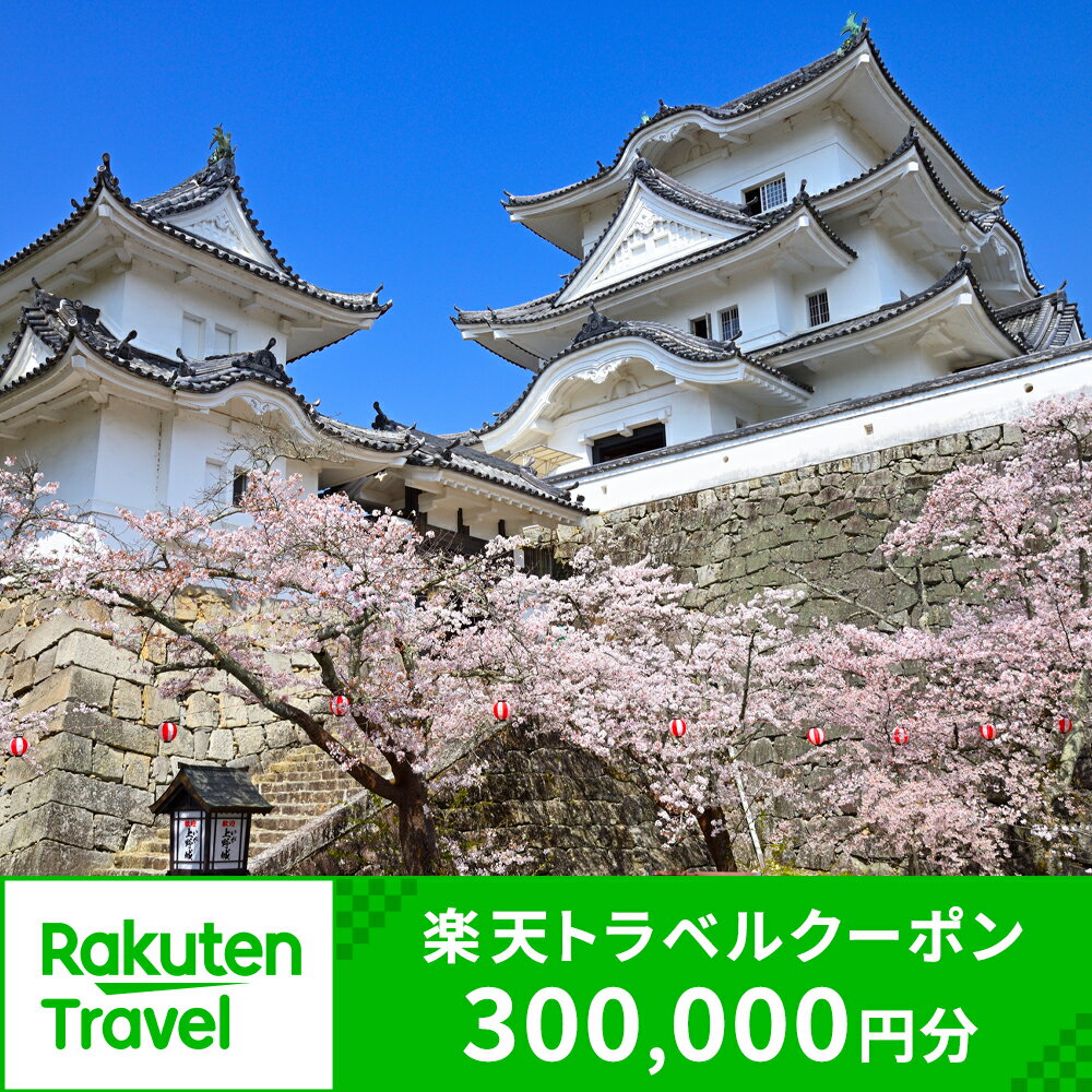 【ふるさと納税】三重県伊賀市の対象施設で使える楽天トラベルクーポン 寄付額1,000,000円