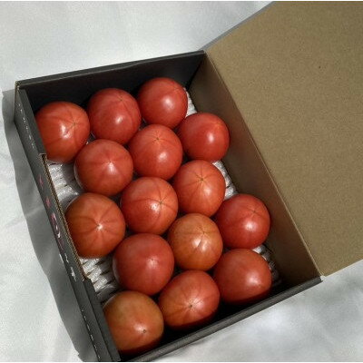 【ふるさと納税】木曽岬産フルーツトマト「とまリッチ」約1kg(化粧箱)【令和6年4月順次発送予定】【1444528】